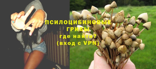кристаллы Карпинск