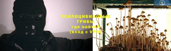 PSILOCYBIN Карталы