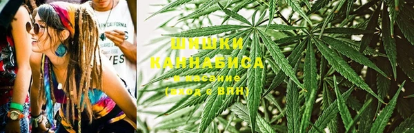 PSILOCYBIN Карталы