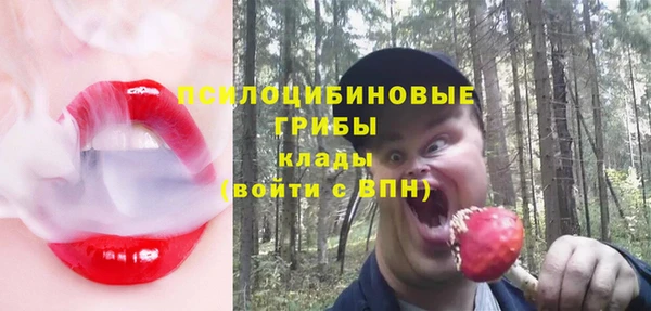 2c-b Касимов