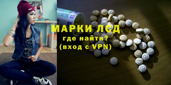 PSILOCYBIN Карталы
