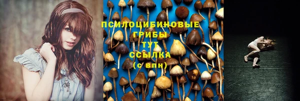 PSILOCYBIN Карталы